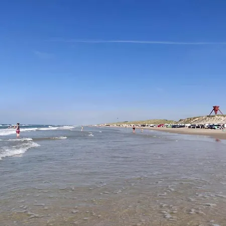 6 Person In * 블록쿠스