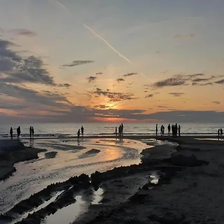 6 Person In 블록쿠스